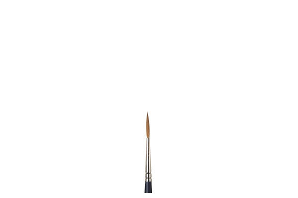 ARTISTS WATERCOLOUR BRUSH Sable Rigger 2
